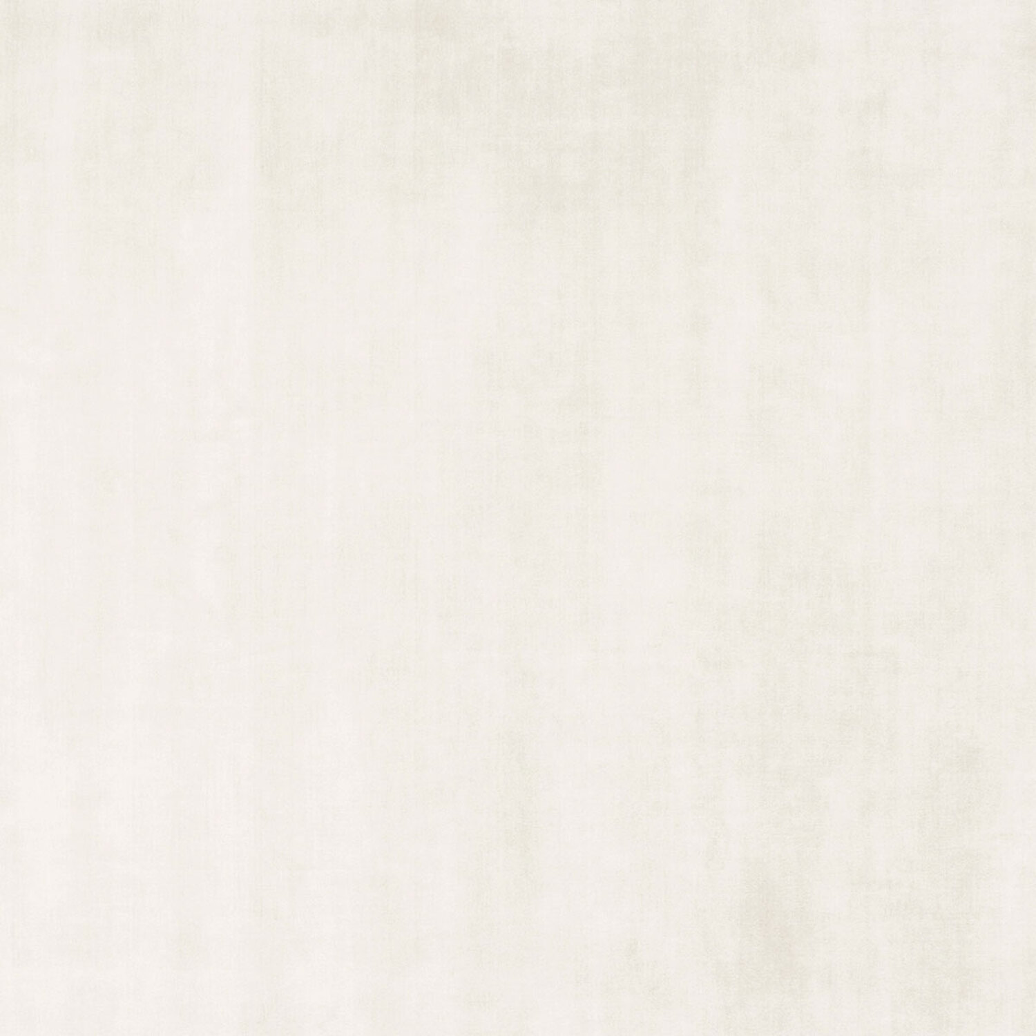 calamandra champagne