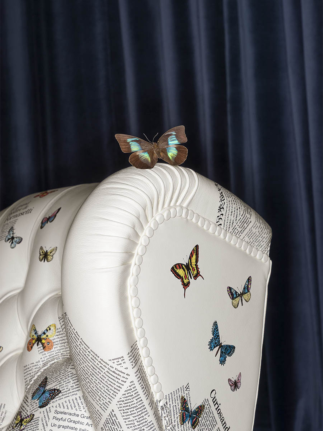 11 1919 ultime notizie armchair