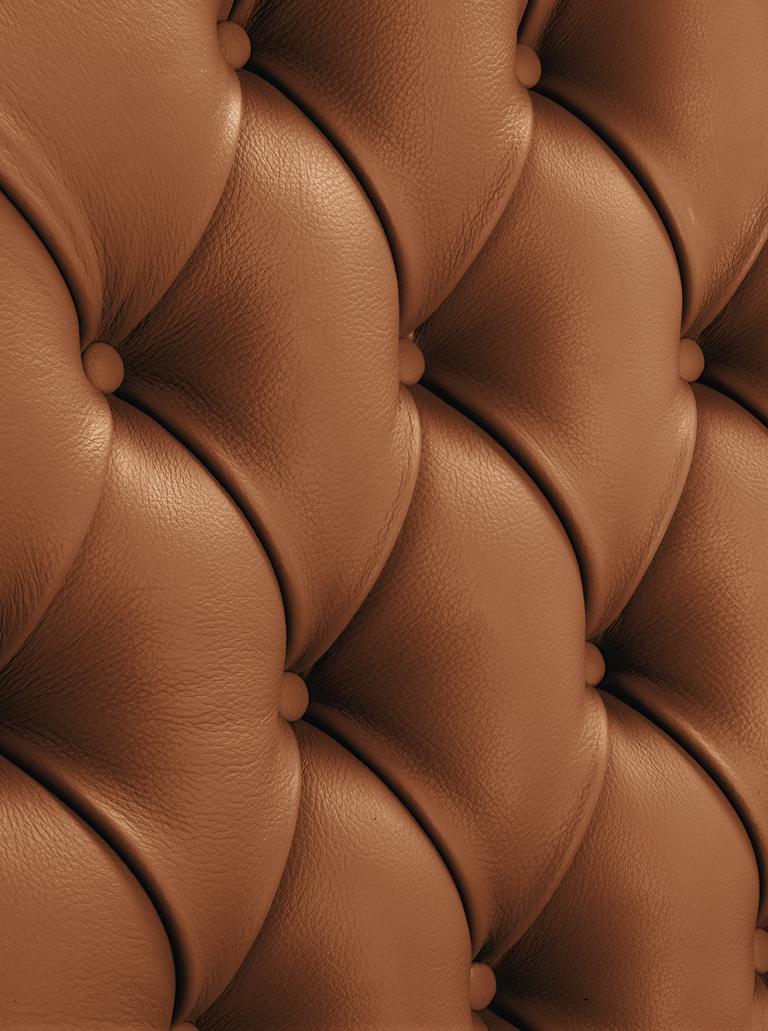 04 oxford visitor chair Immagini 512