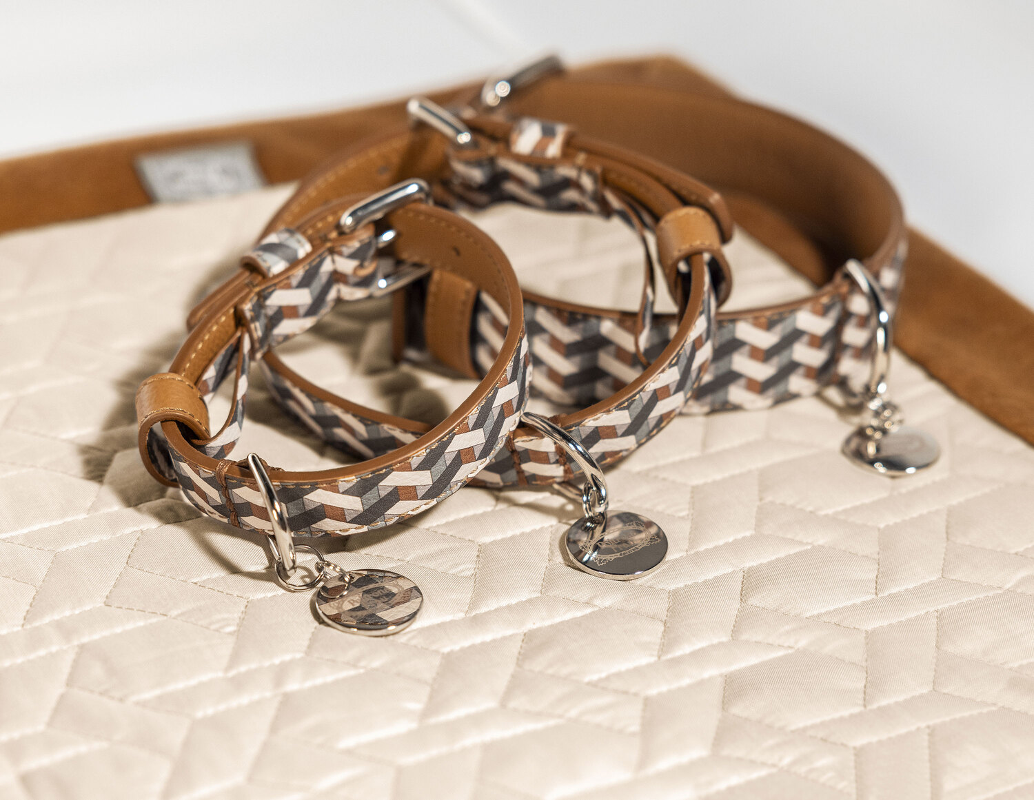 01 pet collar 01 pet collar