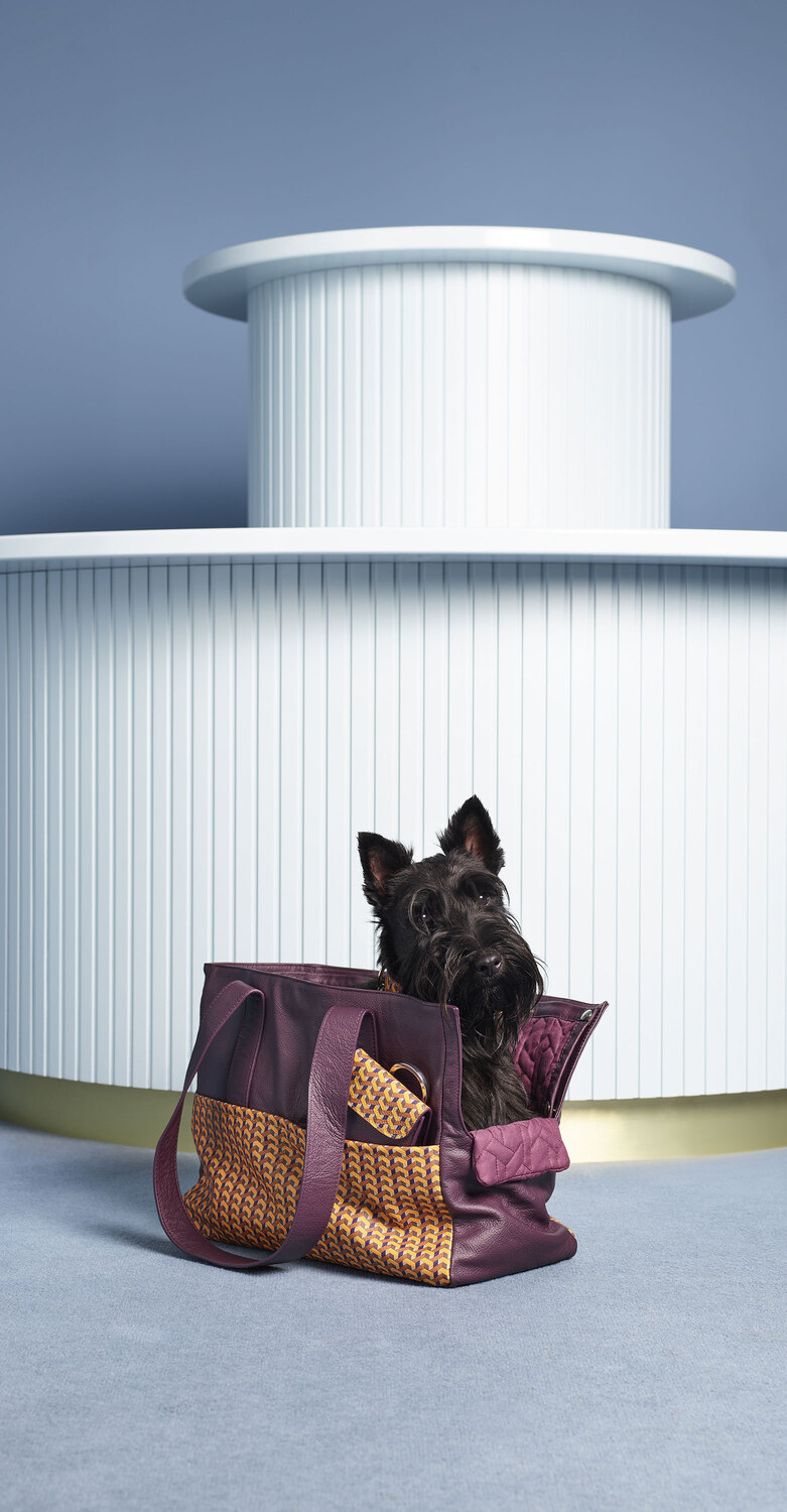 Pet collection | 狗袋 Poltrona Frau宠物系列狗狗提包,Pelle Frau®配Motif Weavers细节,强化肩带,意大利奢华工艺与设计