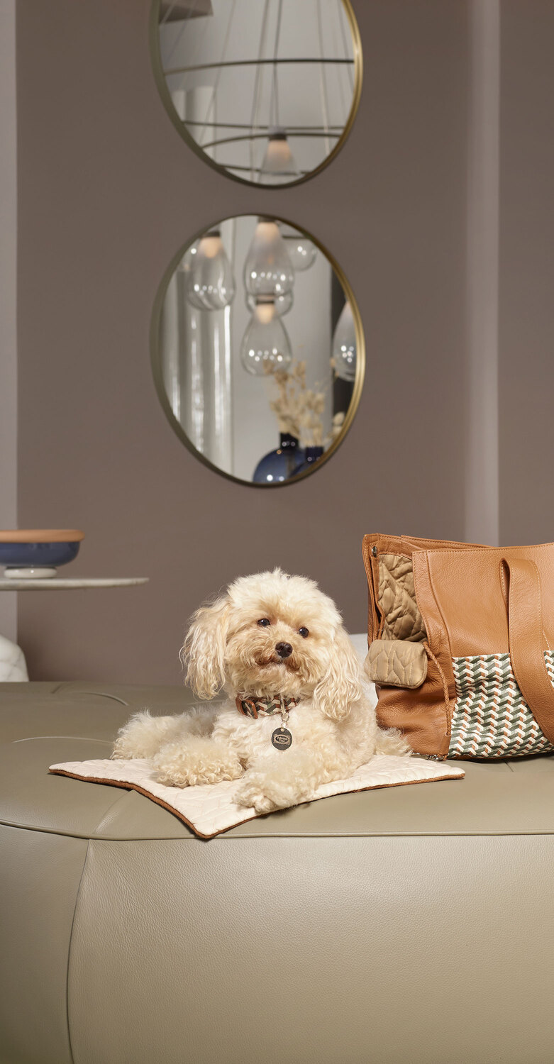 Pet collection | 旅行垫 Poltrona Frau宠物系列旅行垫,羊毛与羊绒,防水面,Pelle Frau®绑带,意大利奢华工艺与设计