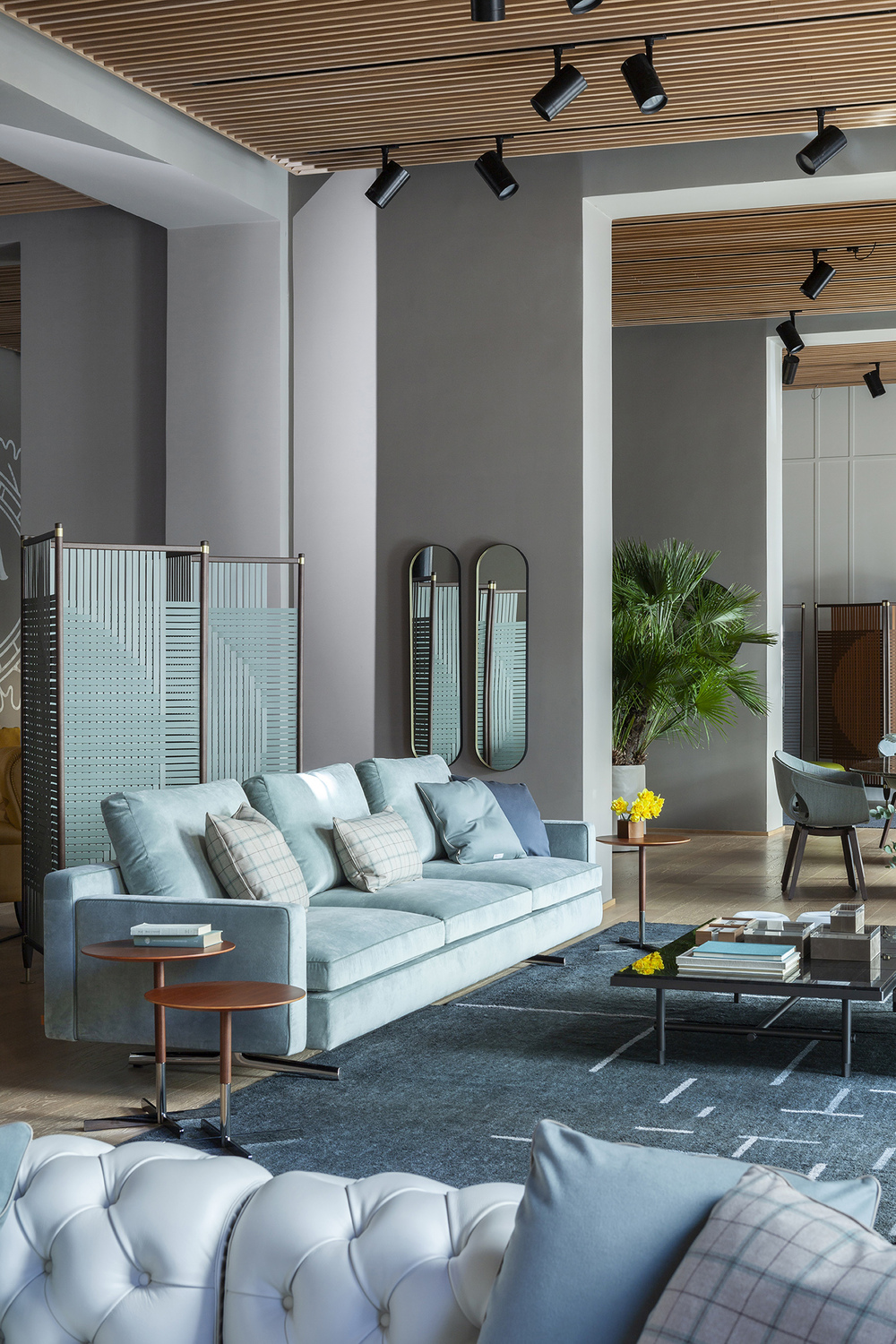 03 plot room divider