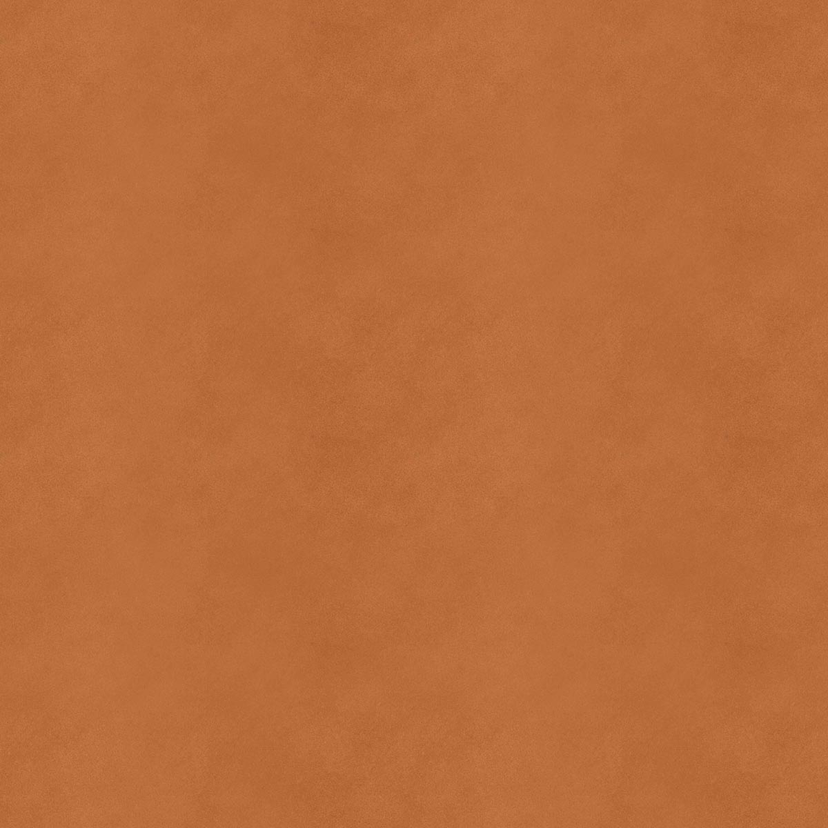 Tapis Saddle Extra Cammello
