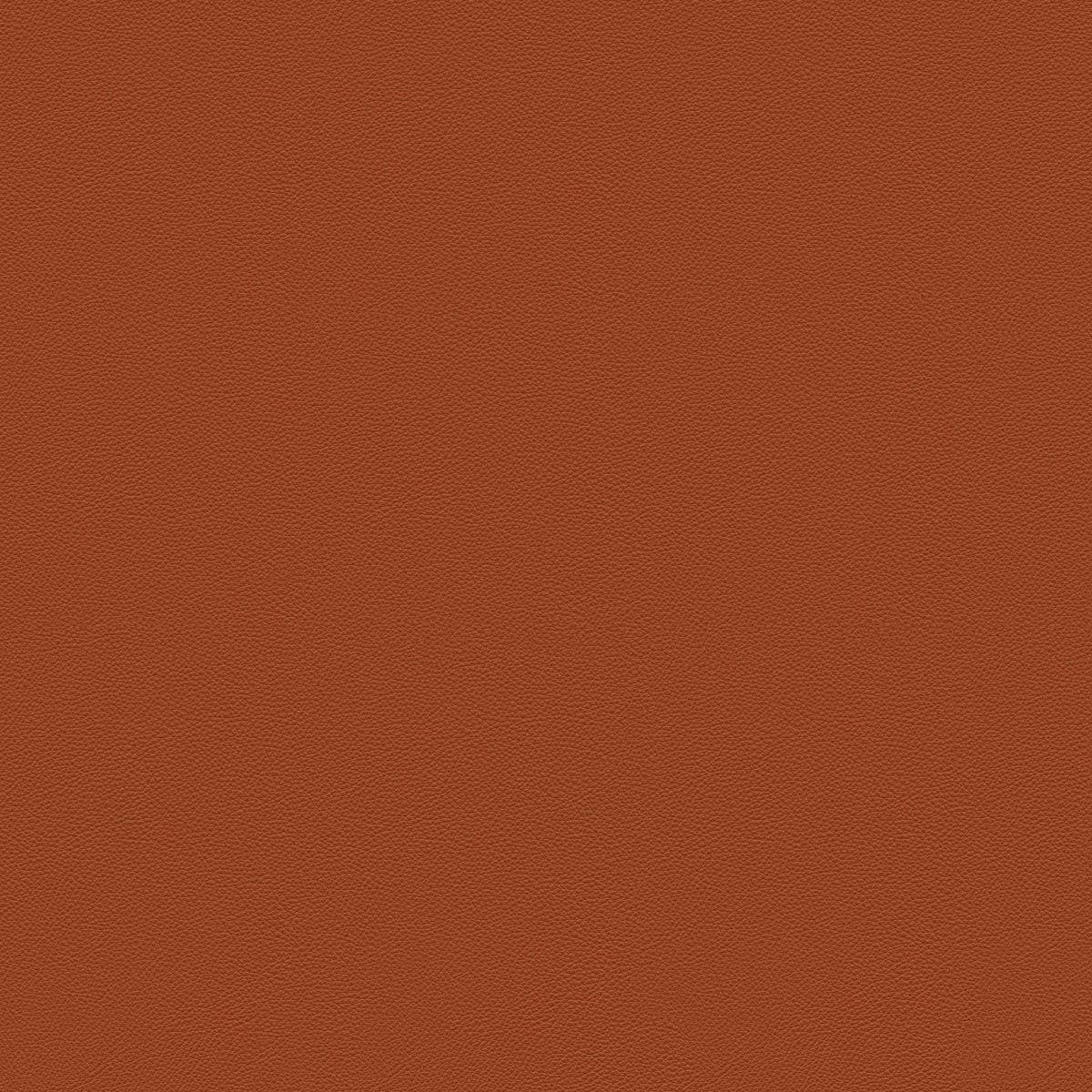 Saddle Extra Cammello