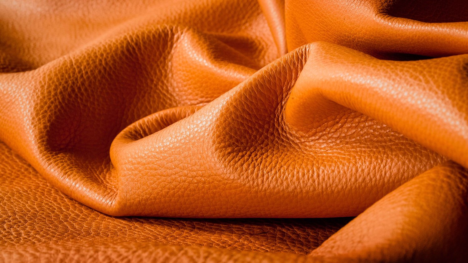 pelle nest pelle nest