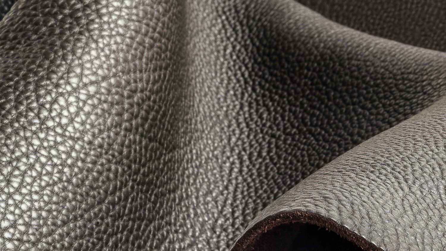 pelle safari pelle safari