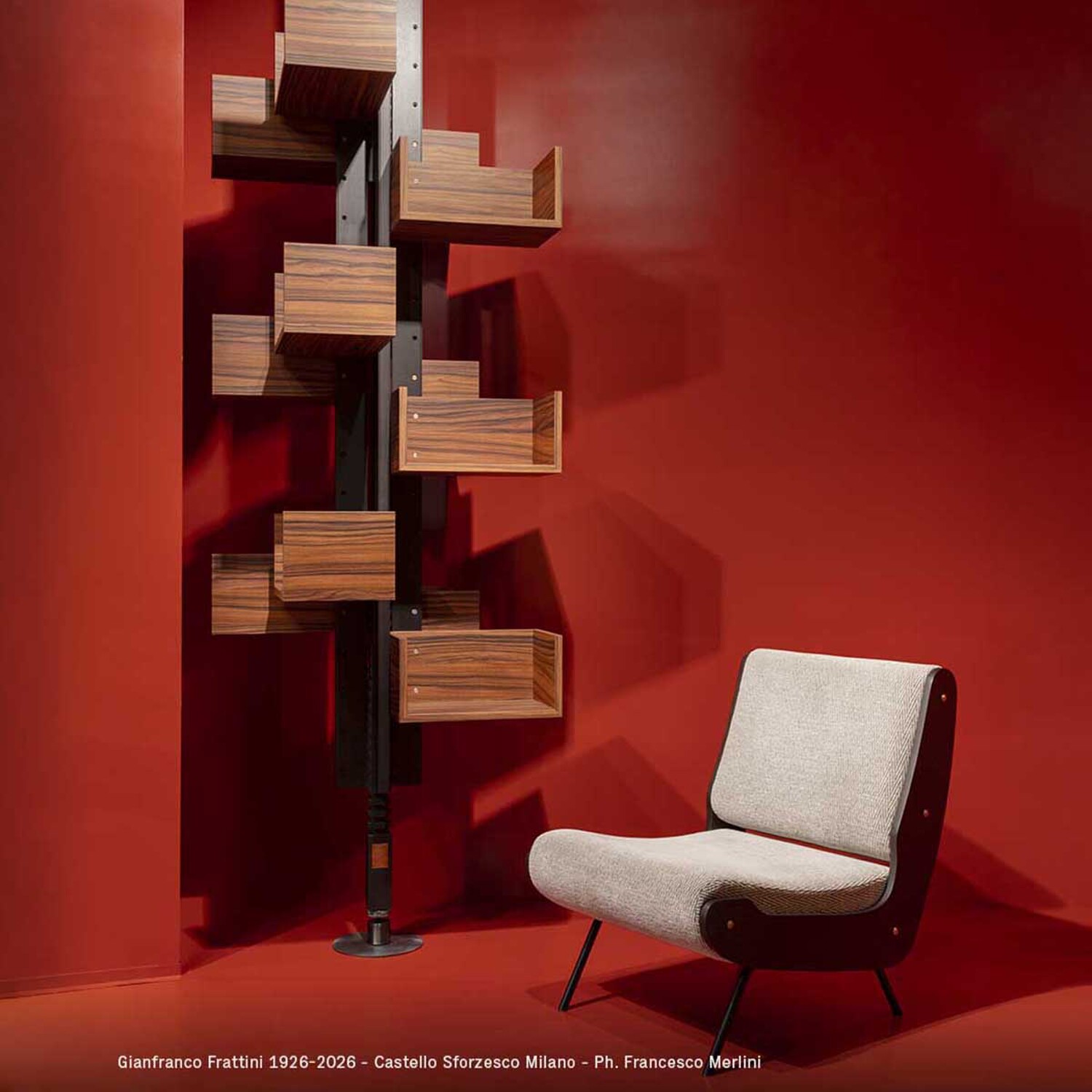 preview albero installation 2026