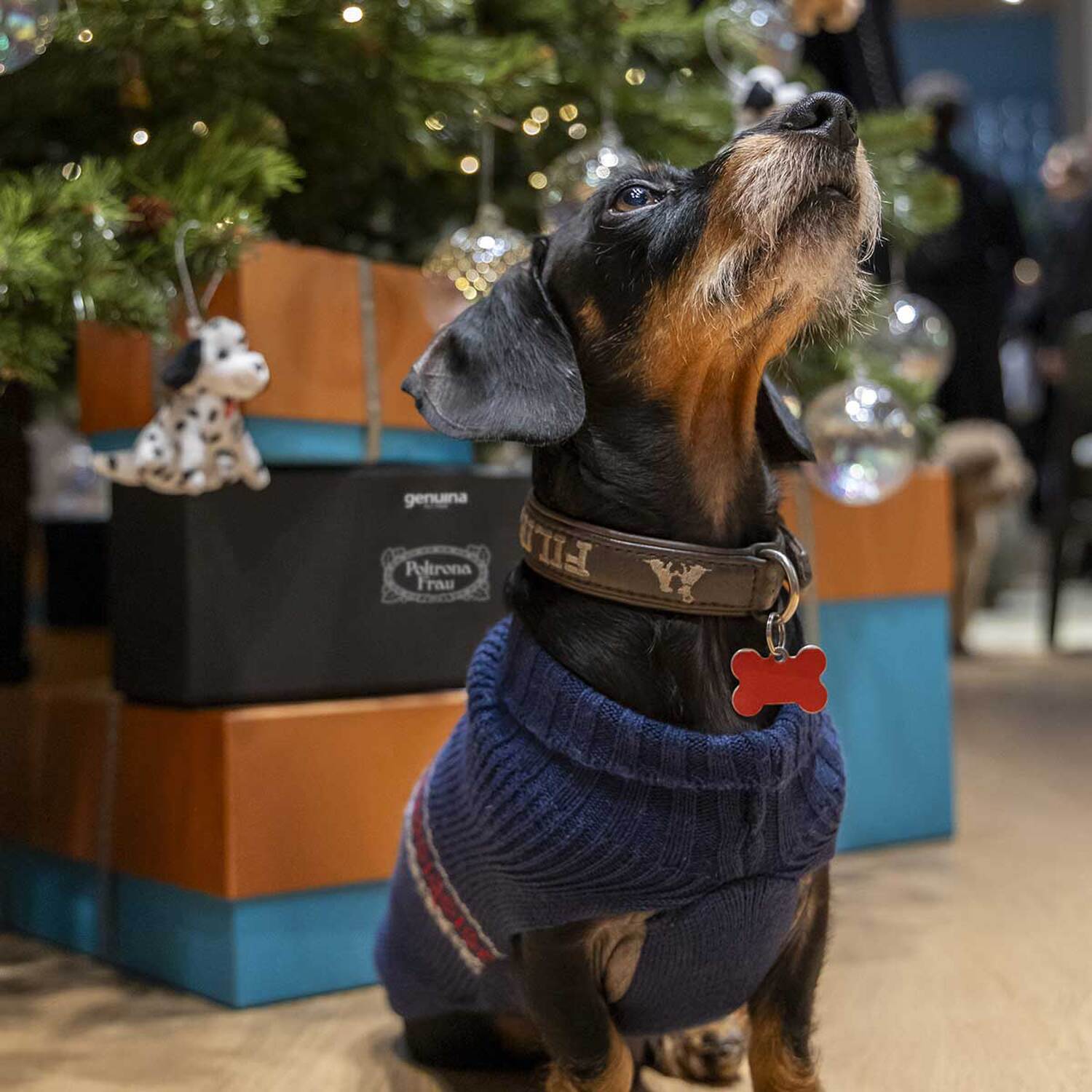 preview genuina event 2023