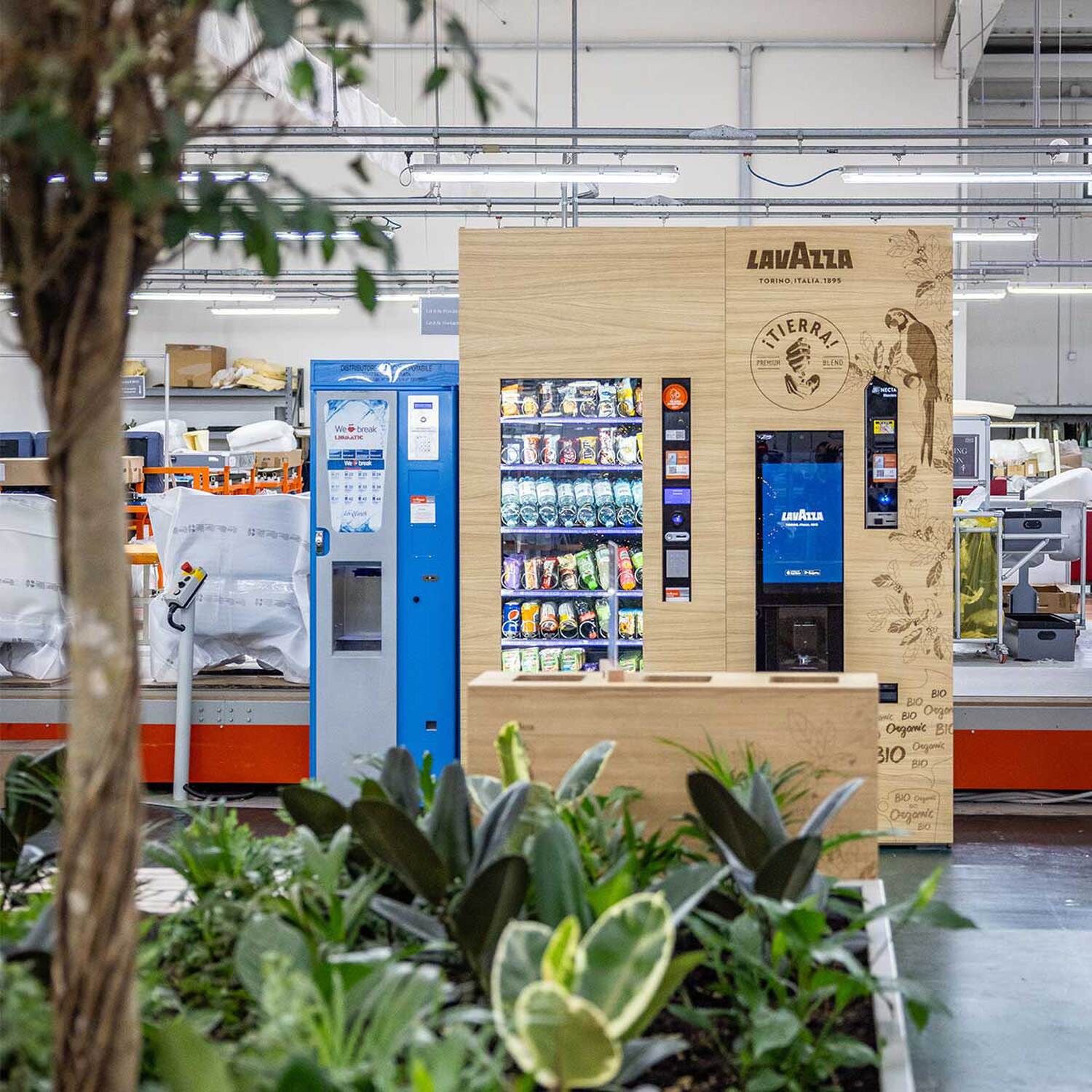 preview oasi itierra lavazza 2023