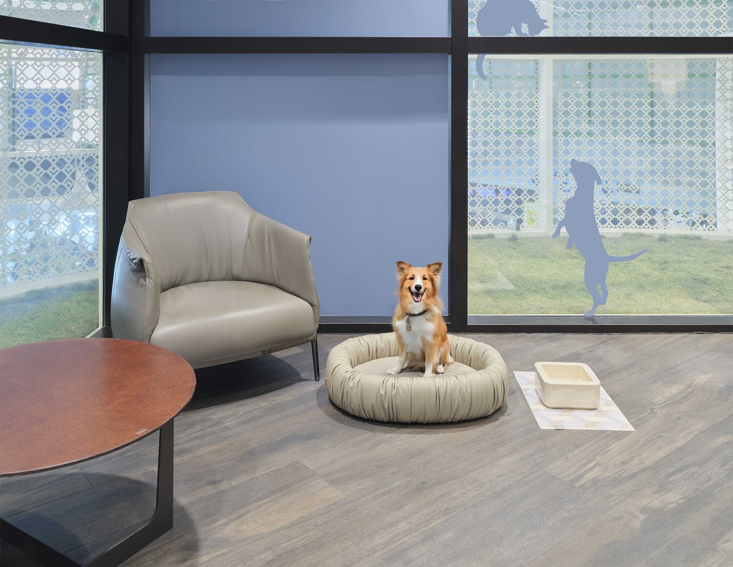 01 pet corner sea 2025