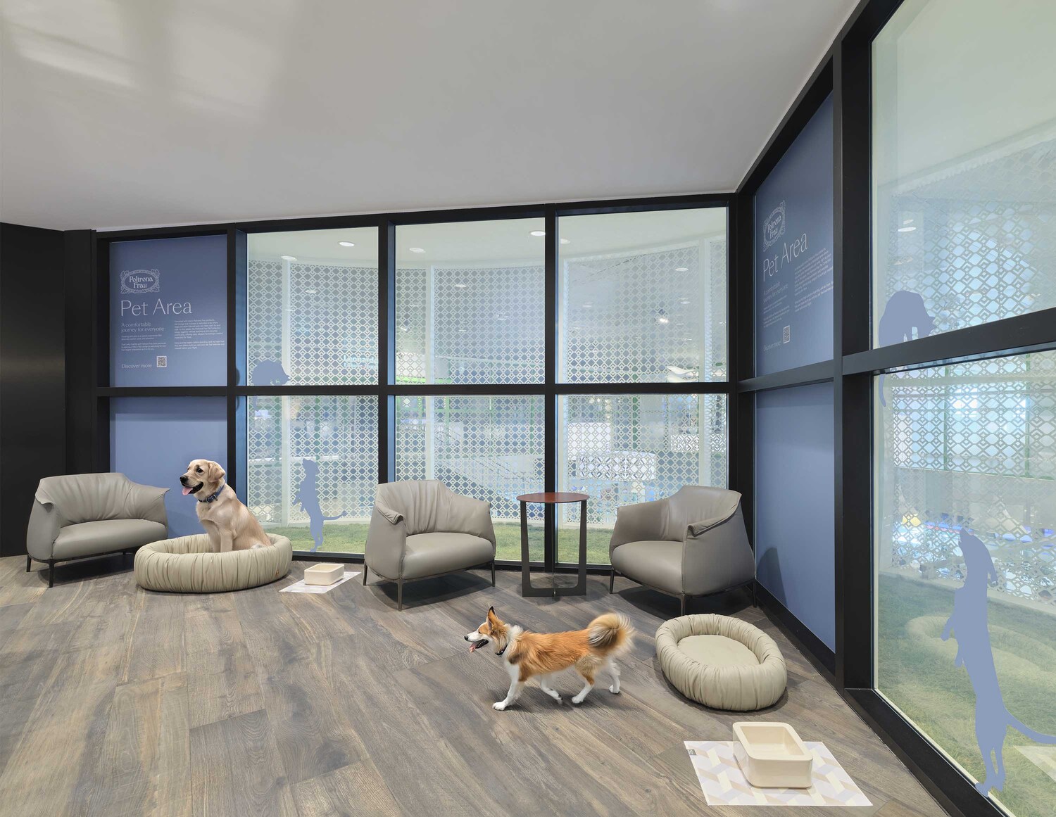 02 pet corner sea 2025