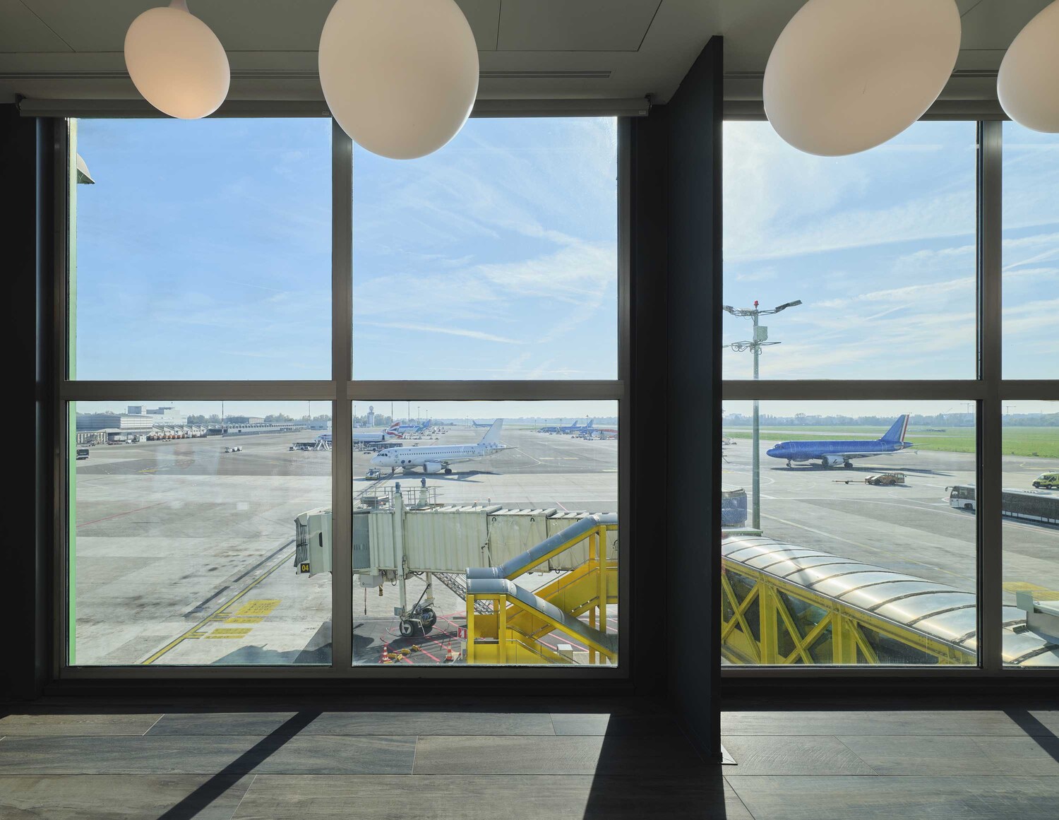 03 pet corner sea 2025