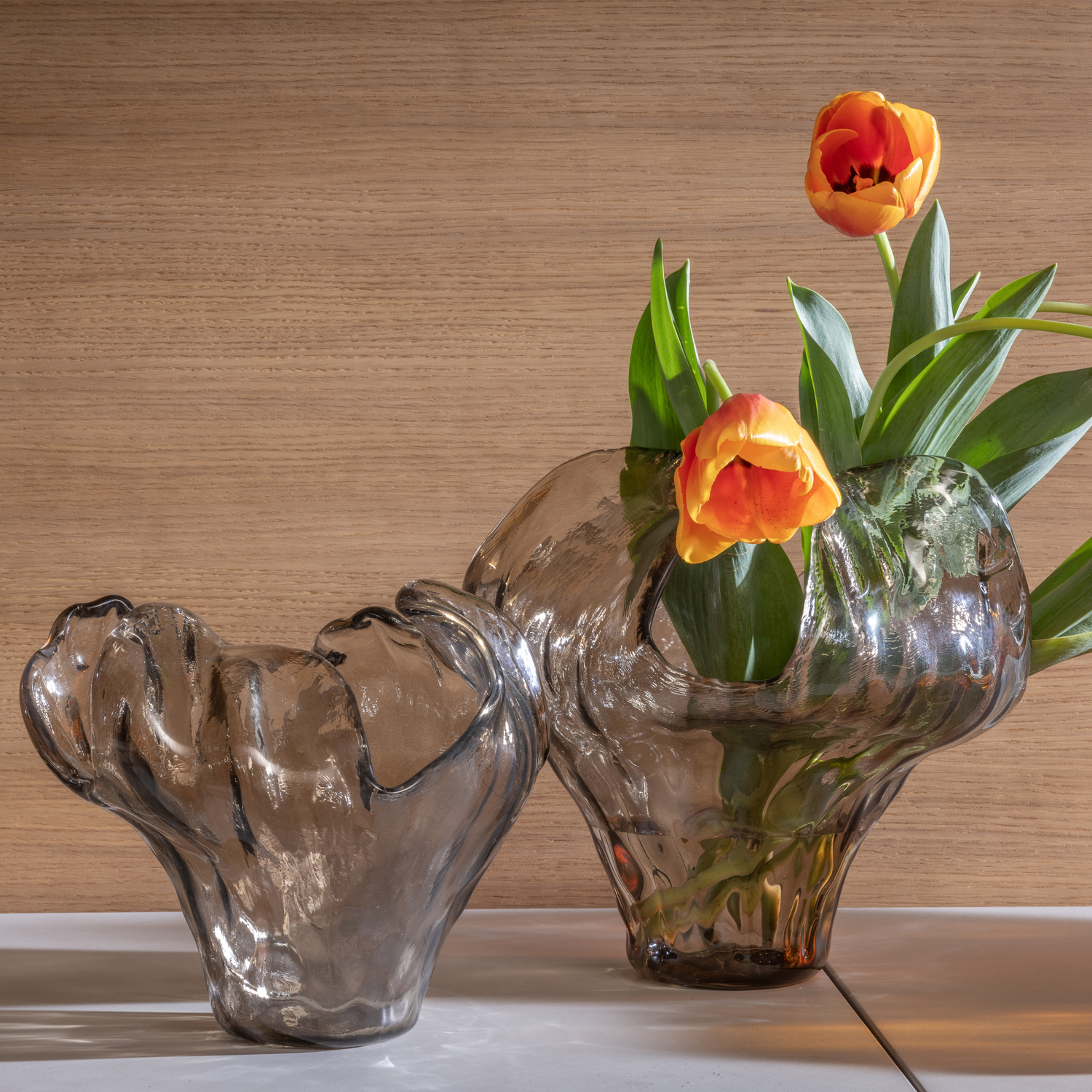 true evolution listing