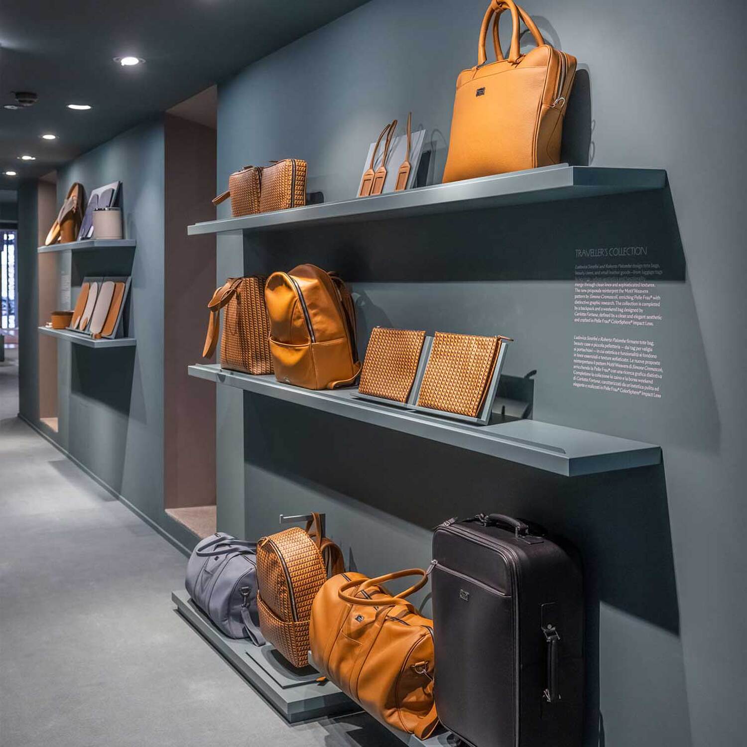 15 true over time collection 2026