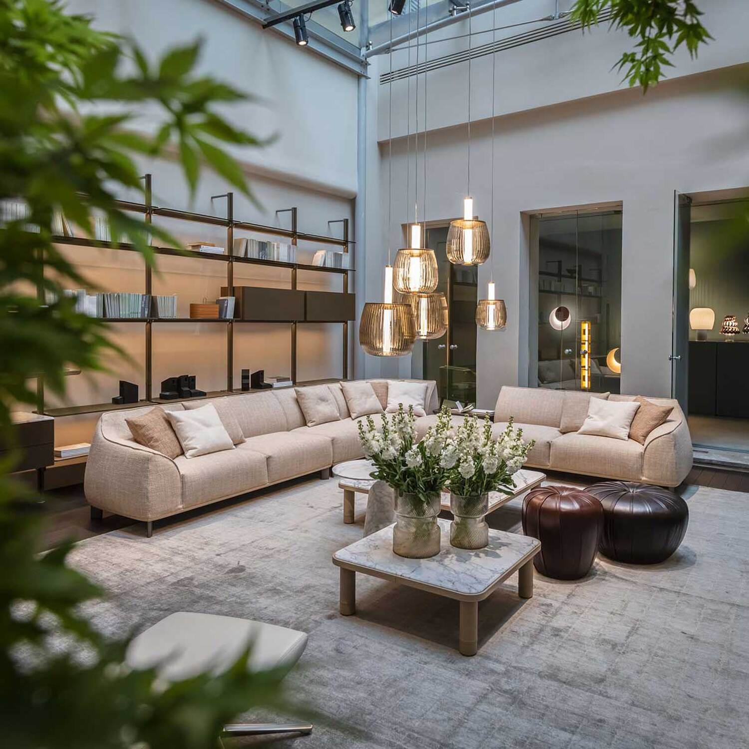 preview true over time collection 2026