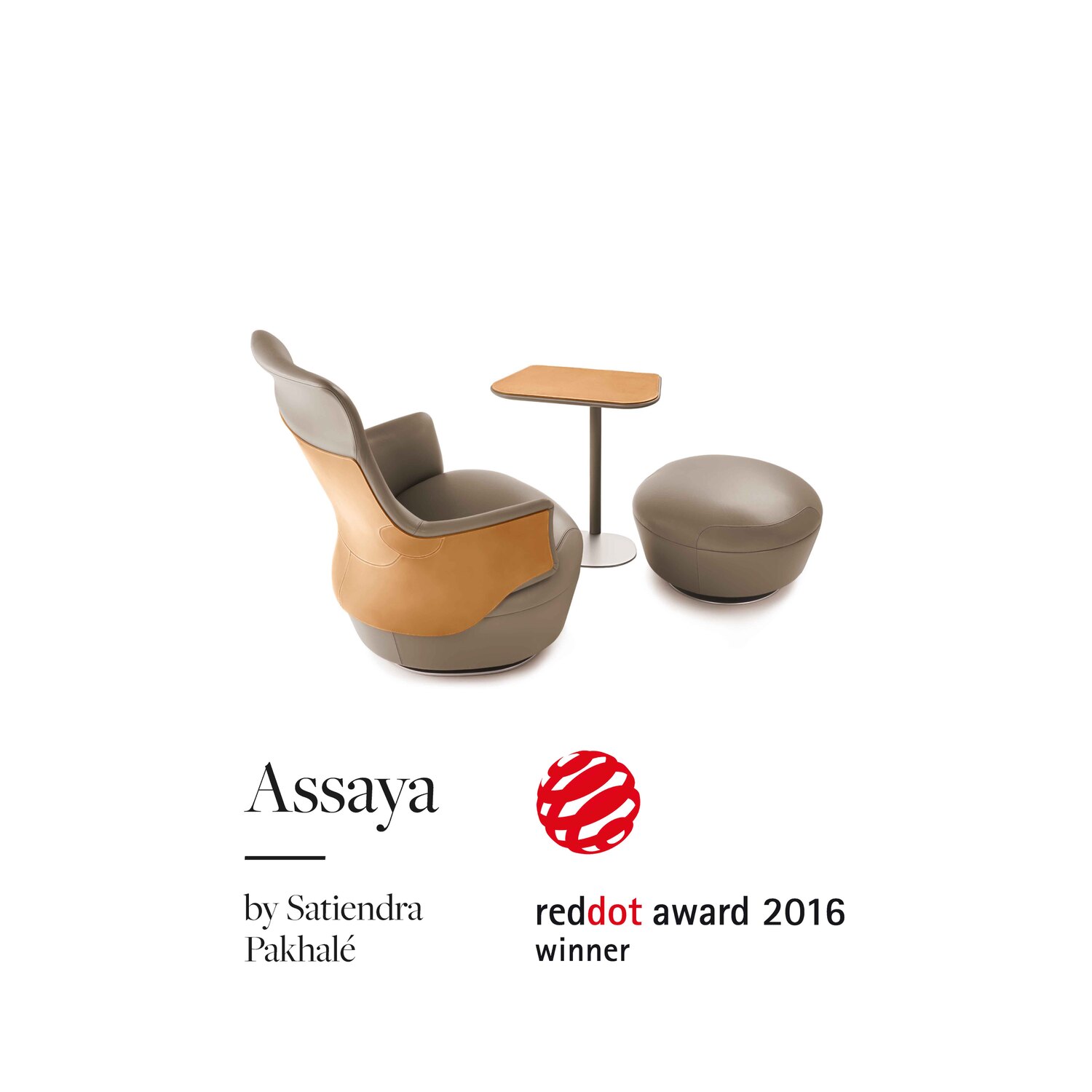 assaya reddot award 2016