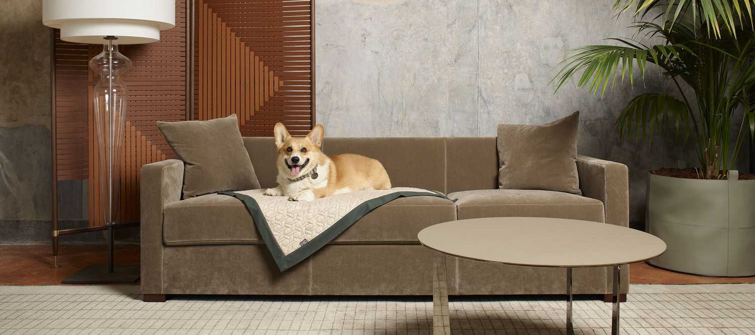 pet collection hero pet collection hero