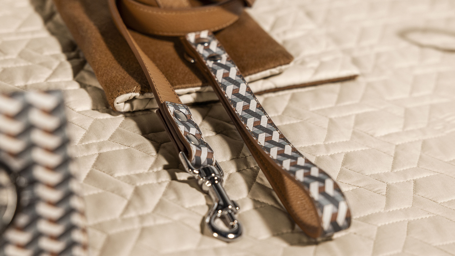 pet collection levriero 02 pet collection levriero 02